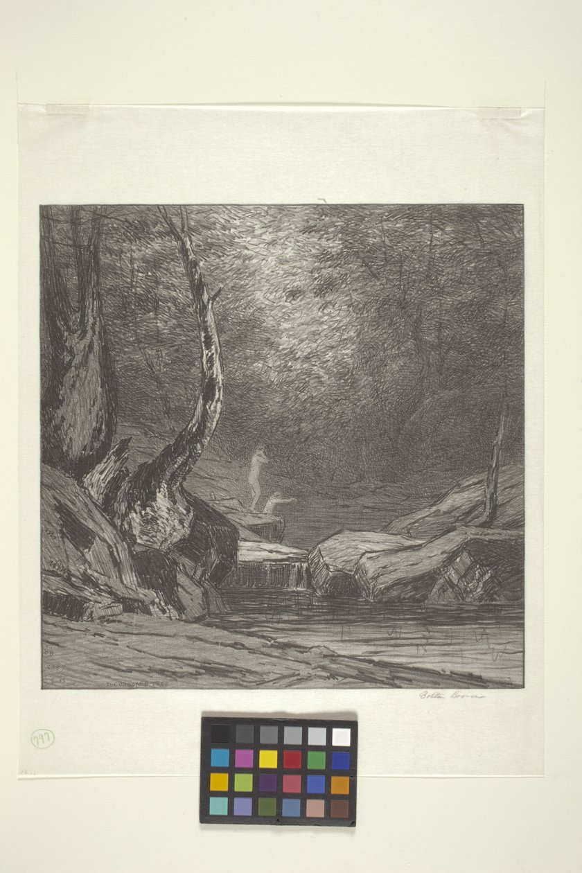 Crooked Tree by Bolton Coit Brown