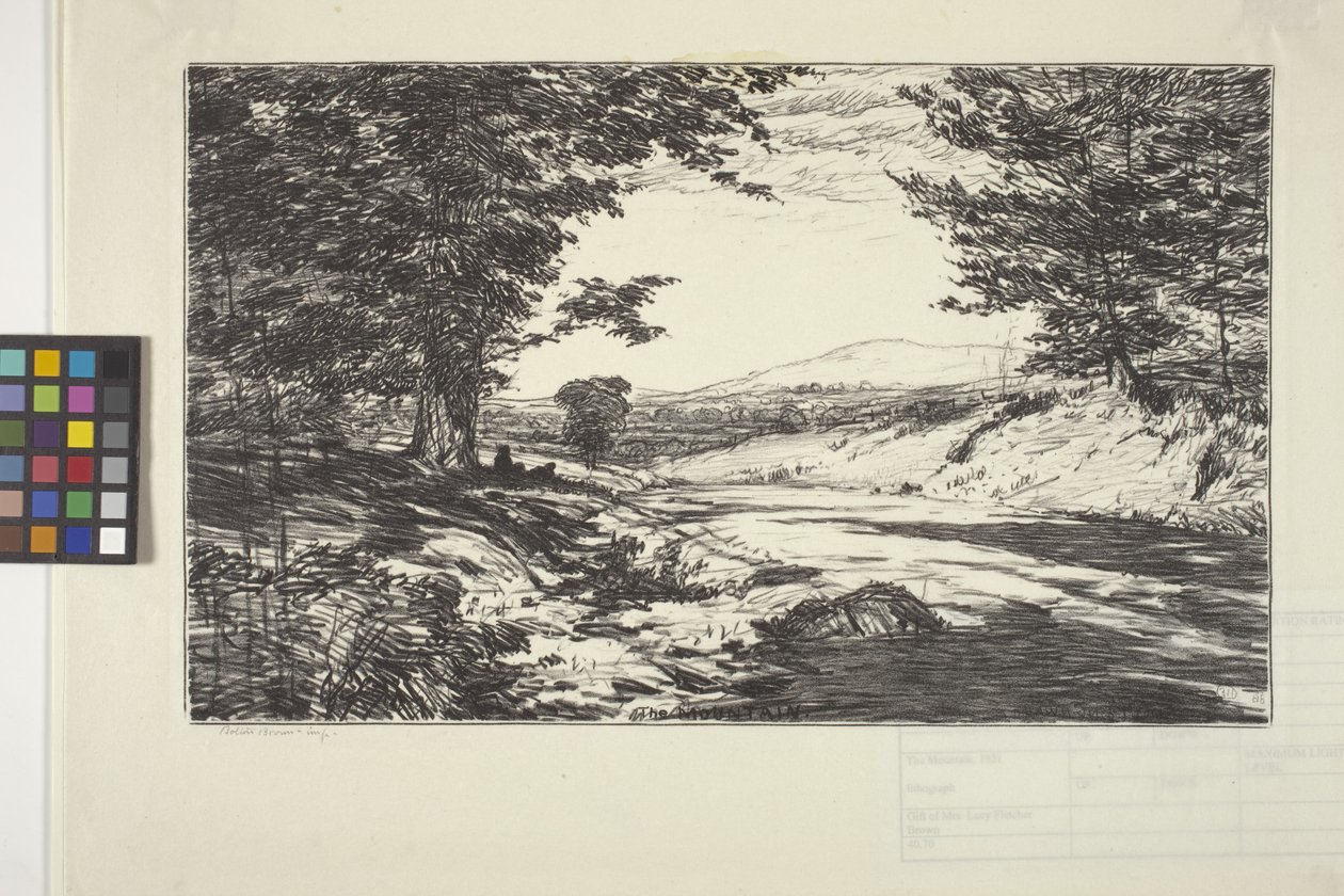The Mountain by Bolton Coit Brown