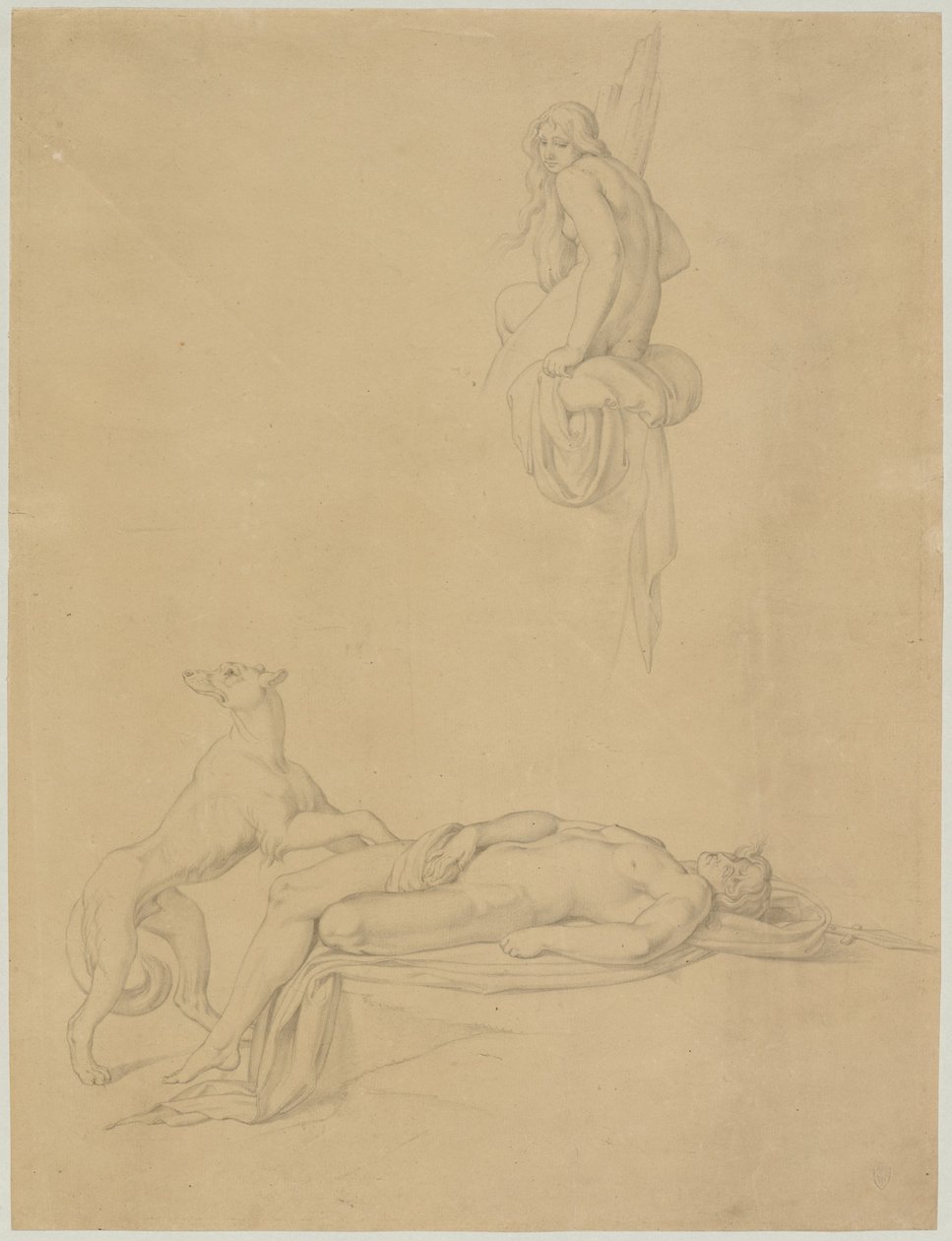 Nude Studies for Ovid