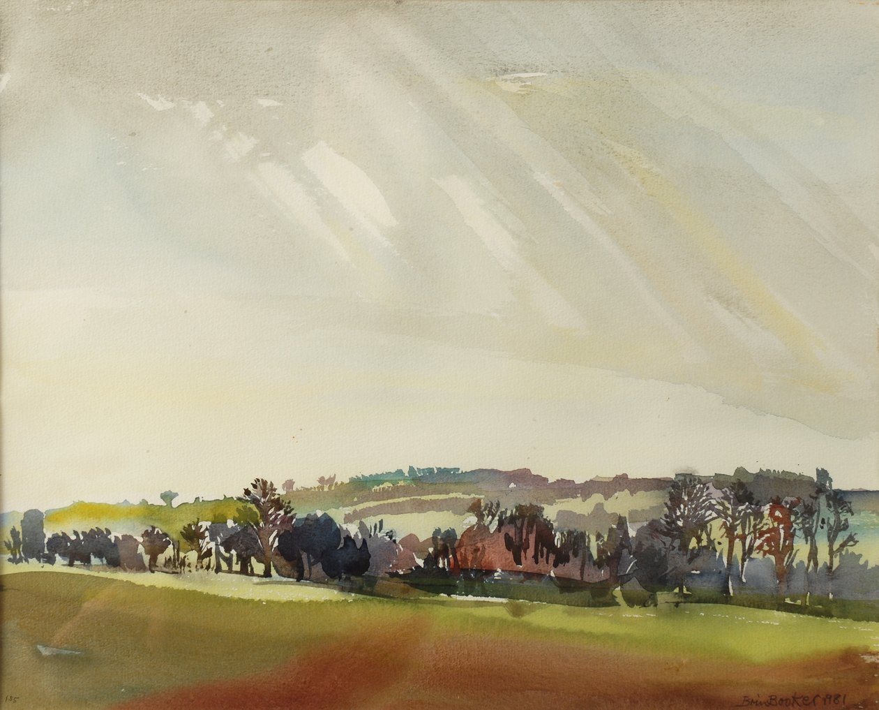 Morning Landscape, 1981 by Brenda Brin Booker