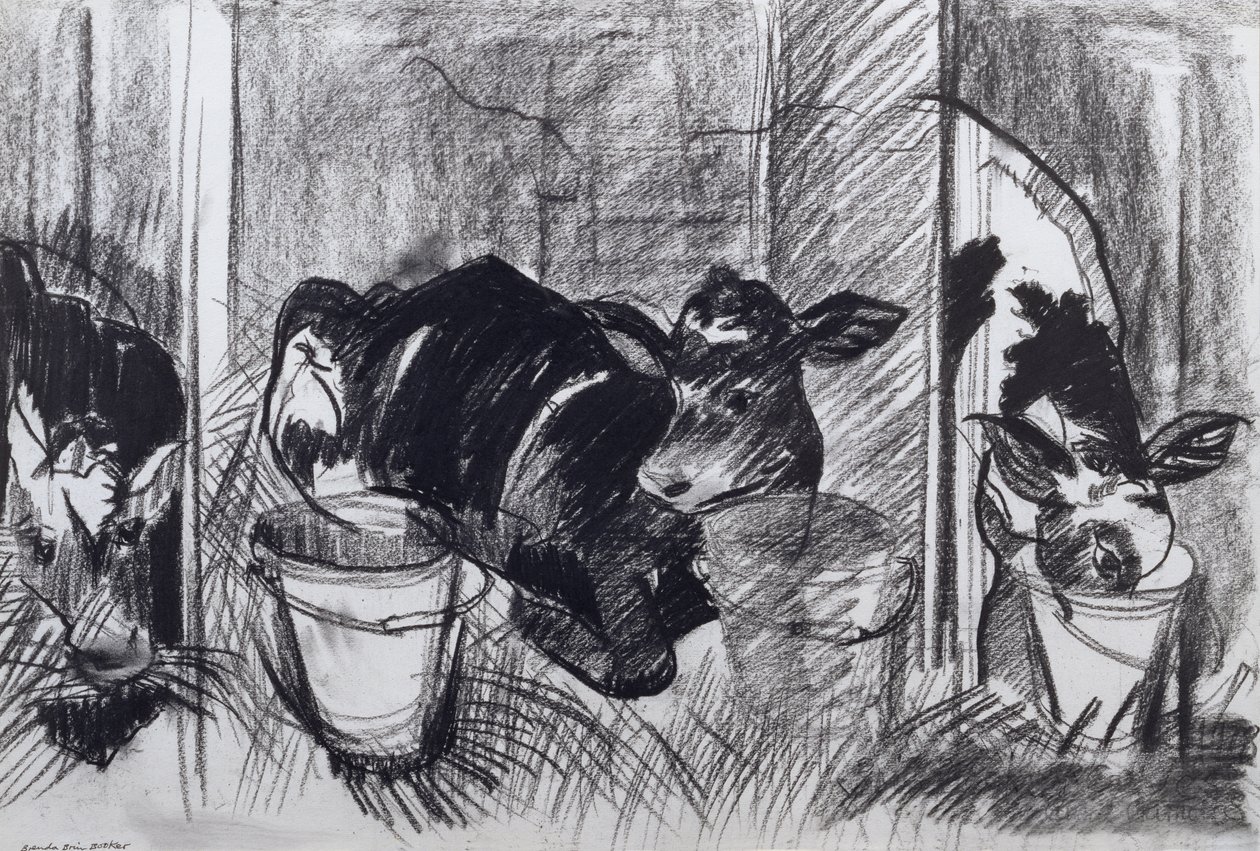 Calves by Brenda Brin Booker