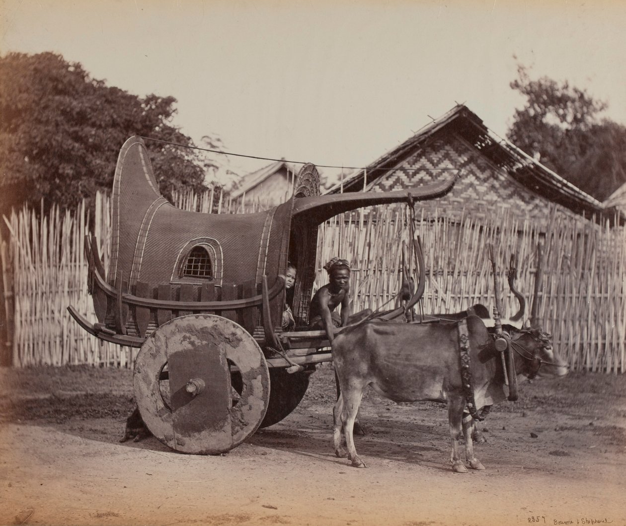 Country Cart, Burma (1886-88) by British Photographer