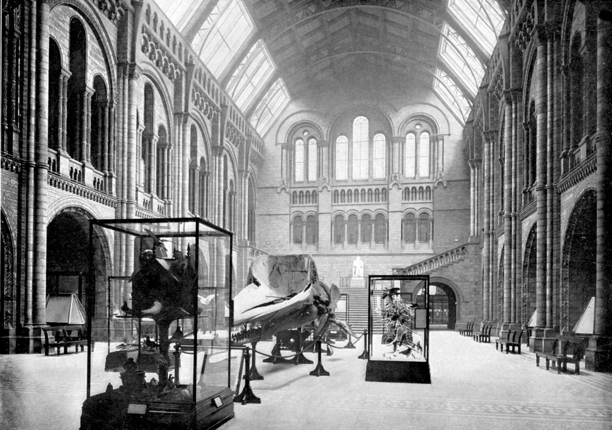 Entrance Hall of the Natural History Museum, South Kensington, London, 1890 by British Photographer