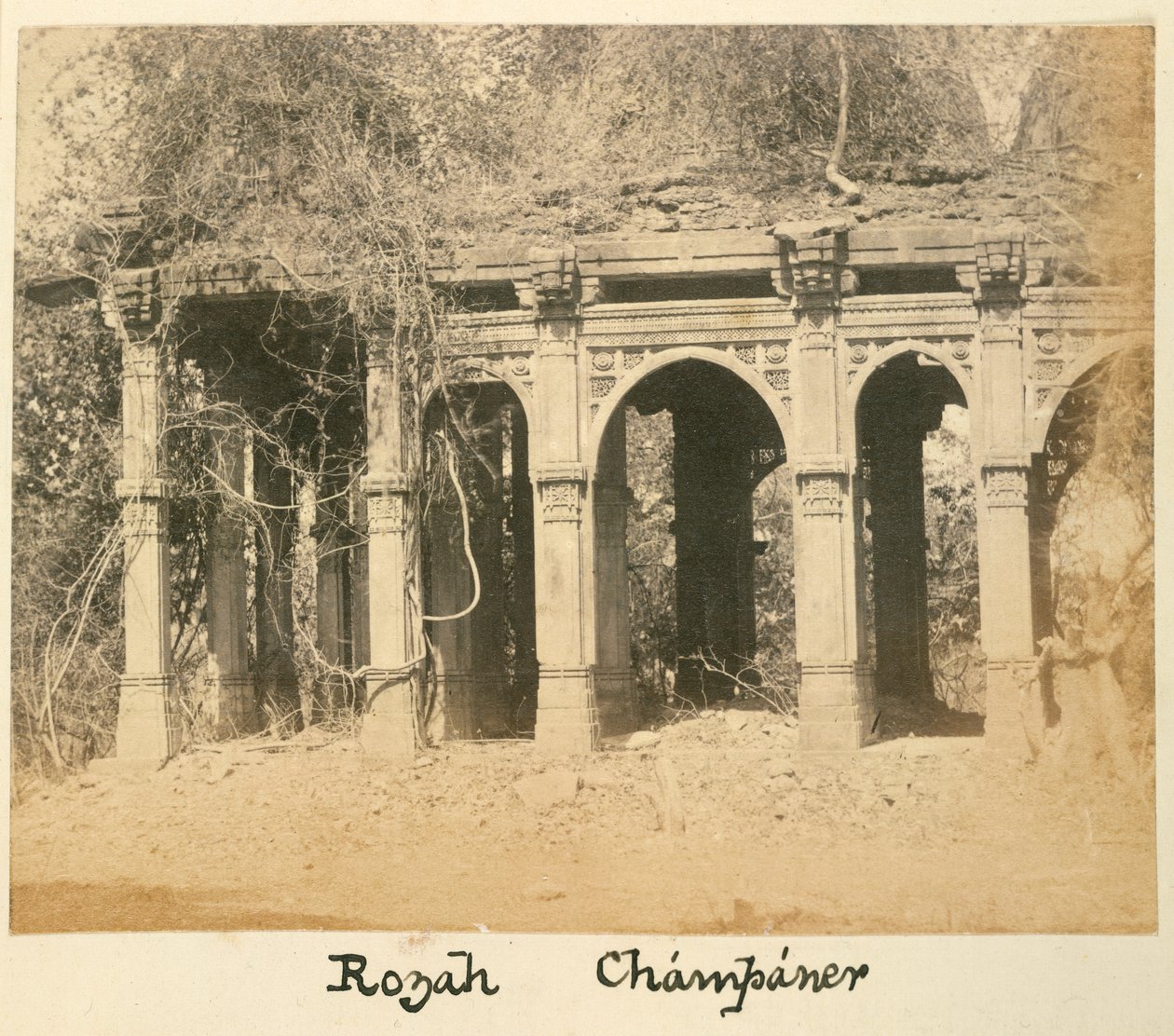 Rozah, Champaner, c.1875 by British Photographer