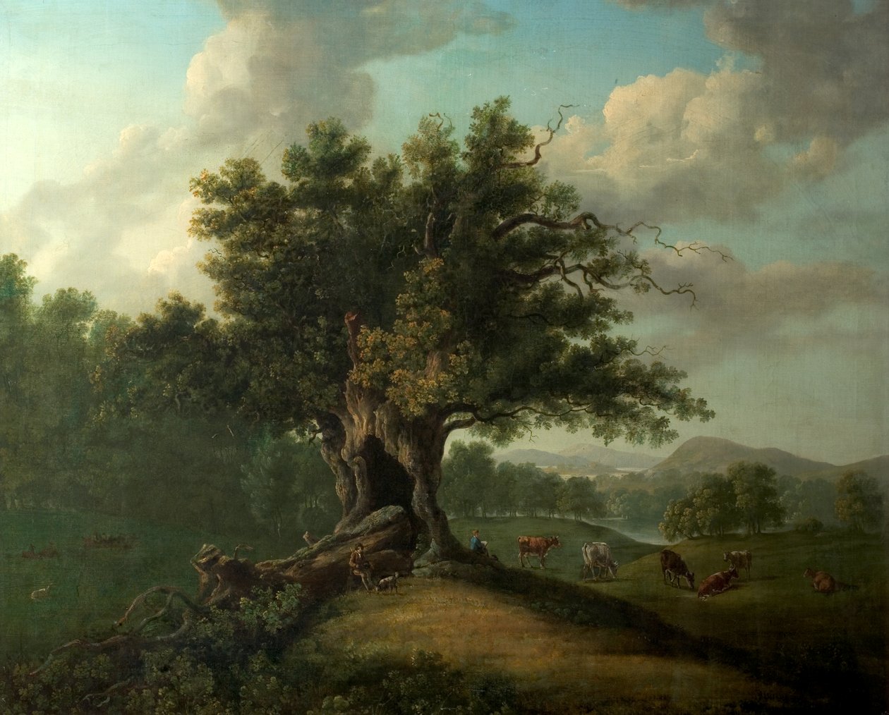 An Oak in Moccas Park, Herefordshire by British School