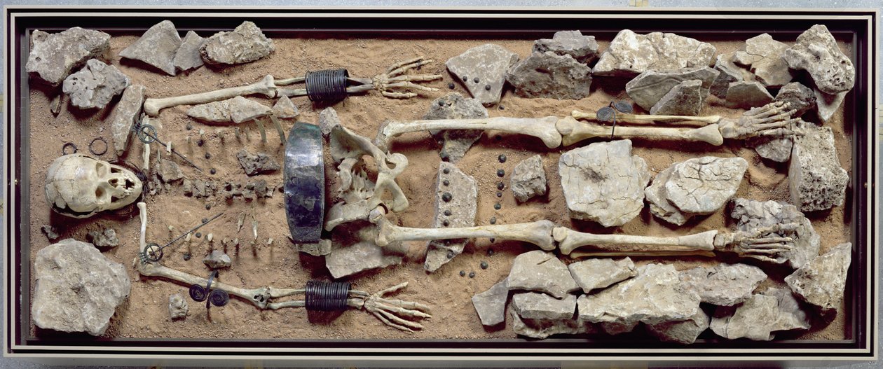 Richly endowed female grave from Molzbach bei Huenfeld by Bronze Age