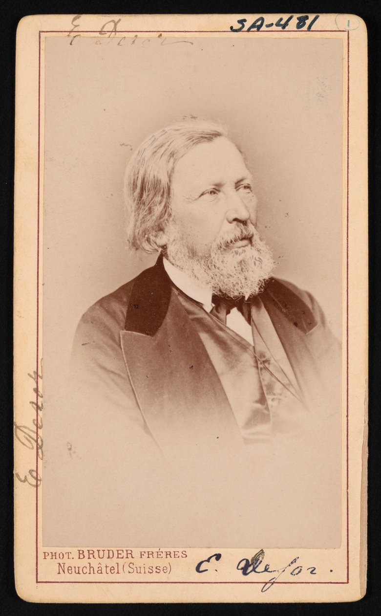 Portrait of Pierre Jean Edouard Desor by Bruder Freres