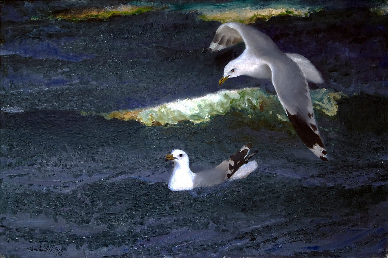 Gulls by Bruno Andreas Liljefors