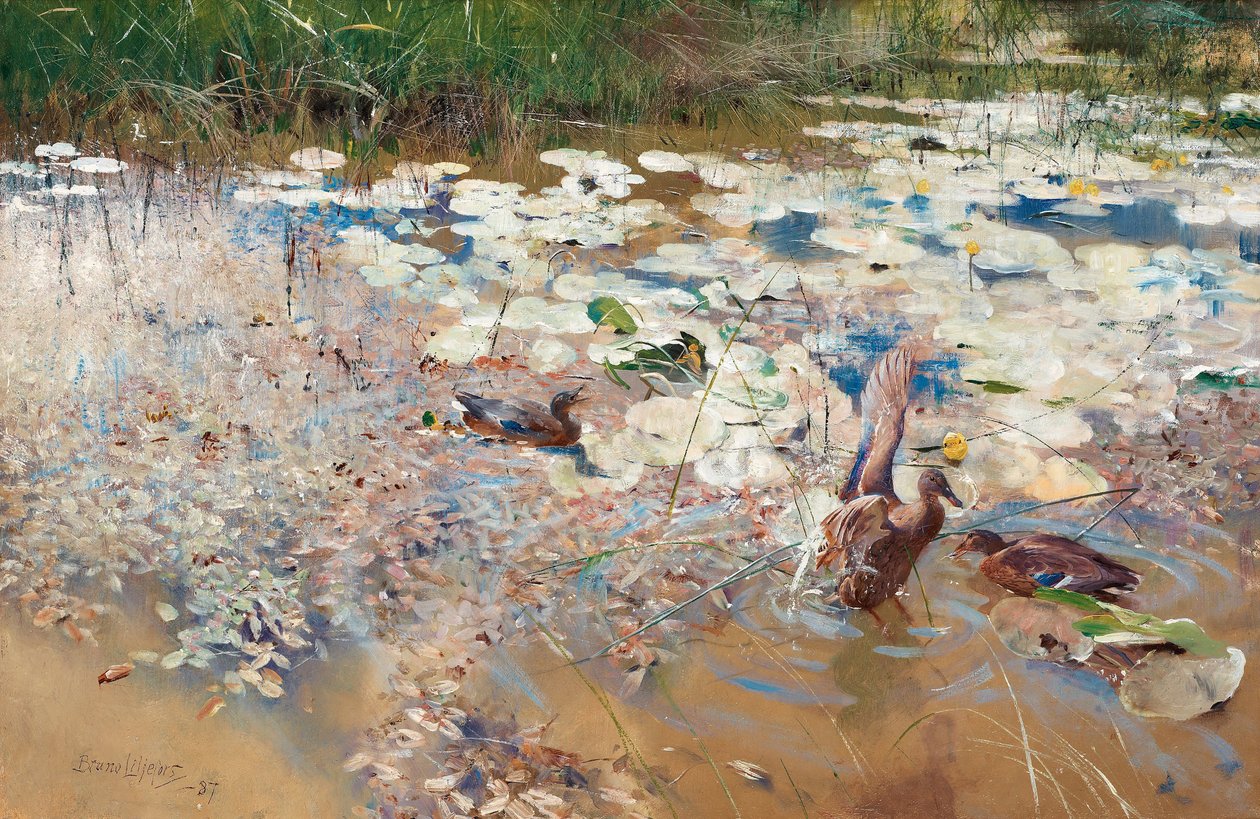 Wild Ducks by Bruno Andreas Liljefors