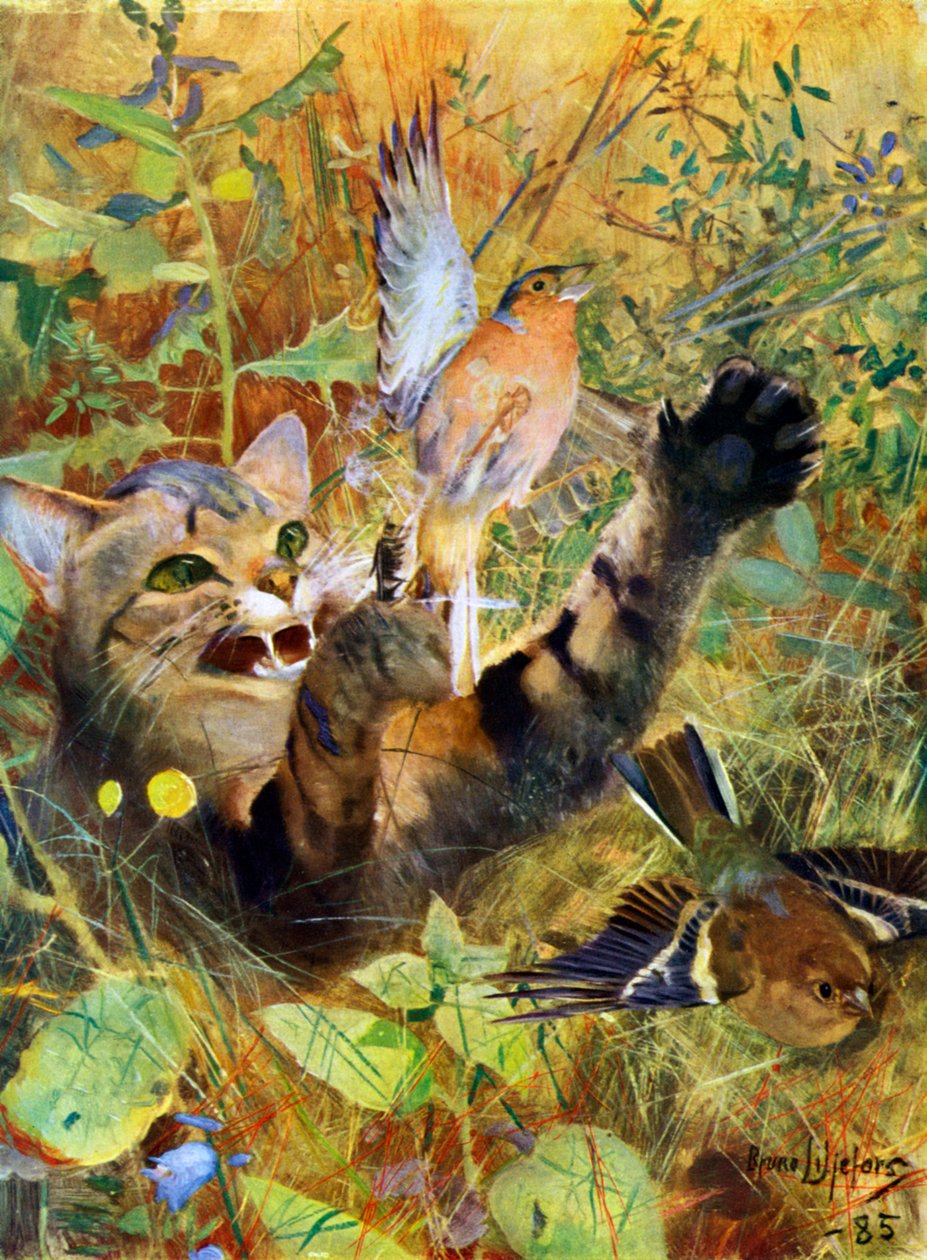 A Cat and a Chaffinch, 1885-1945 by Bruno Andreas Liljefors