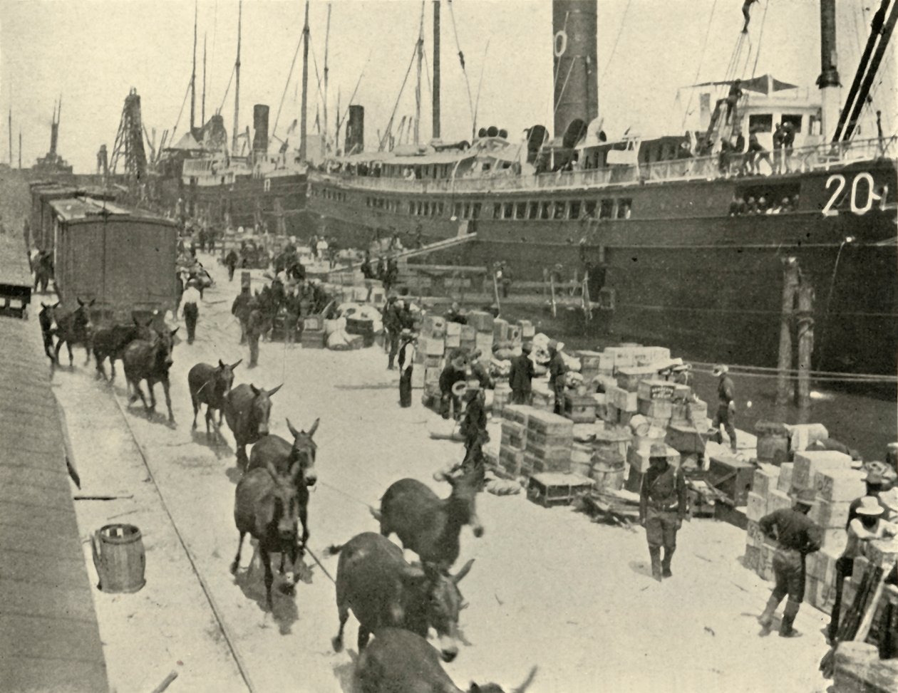 Troopships at Port Tampa, Florida, USA, Spanish-American War, 10 June 1898 by Burr McIntosh