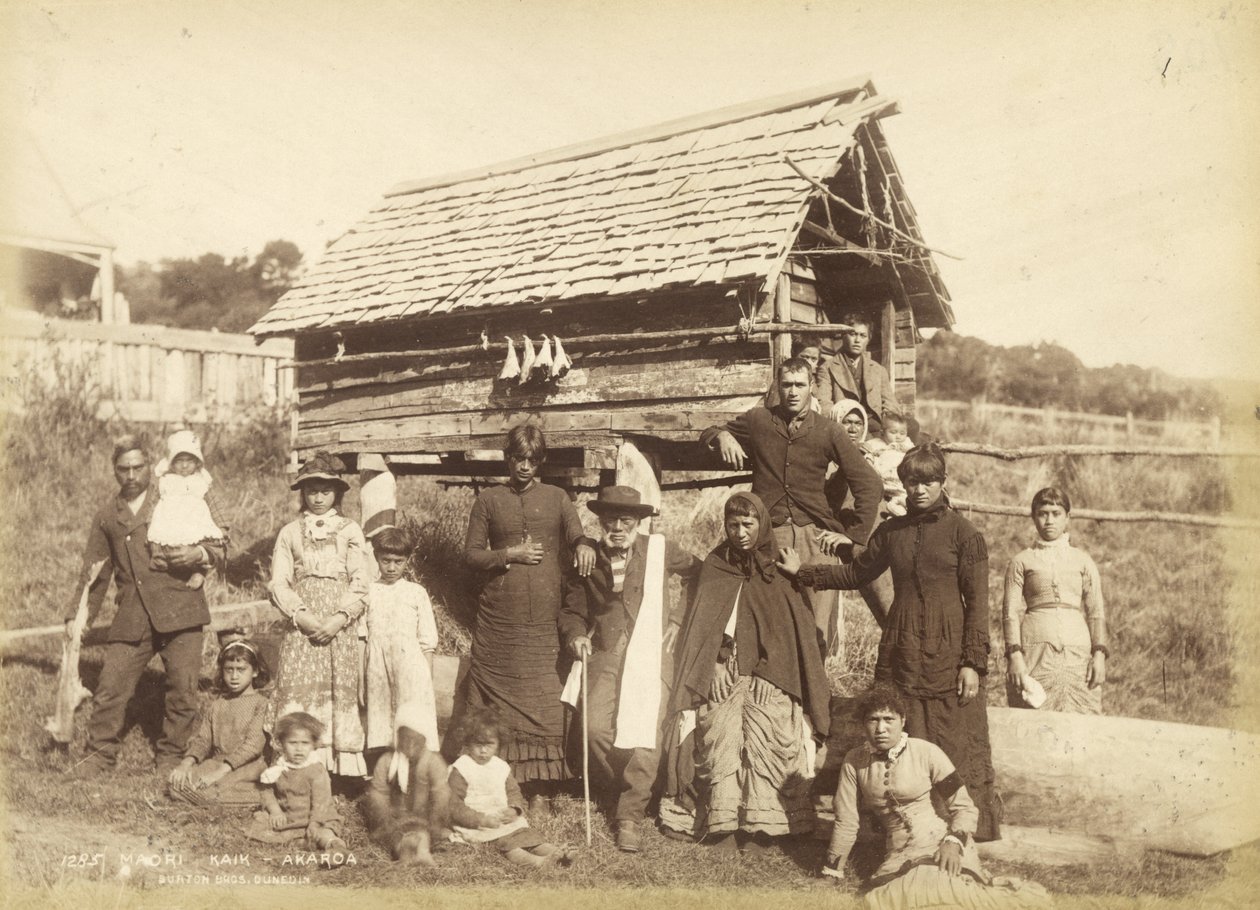 Maori Kaik - Akoroa, c.1884 by Burton Brothers Studio