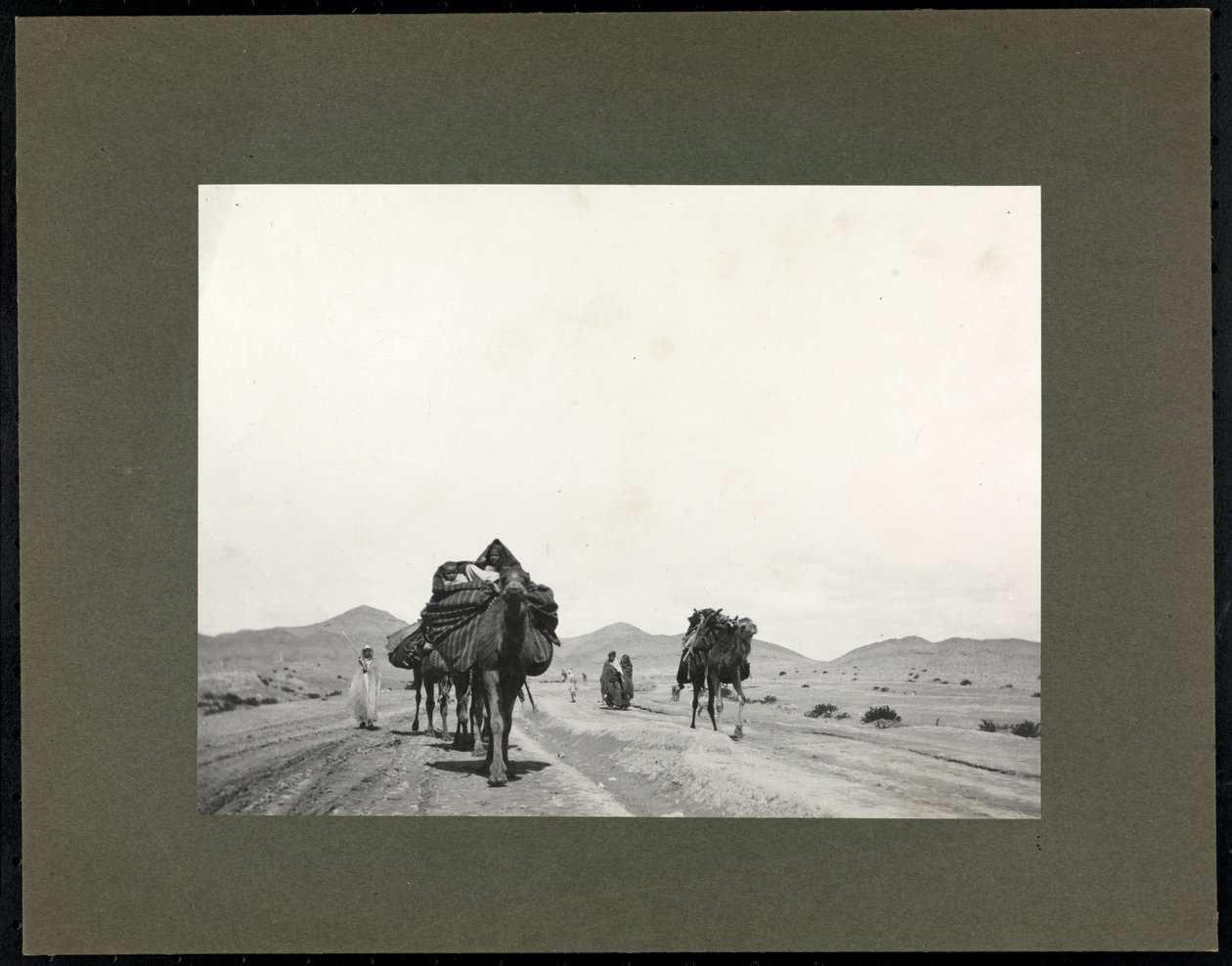 Camels on a Dirt Road, Presumably in North Africa by Byron Company