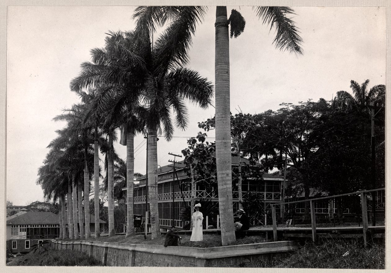 Group of Two Men and a Woman Under a Palm Tree During the Construction of the Panama Canal by Byron Company