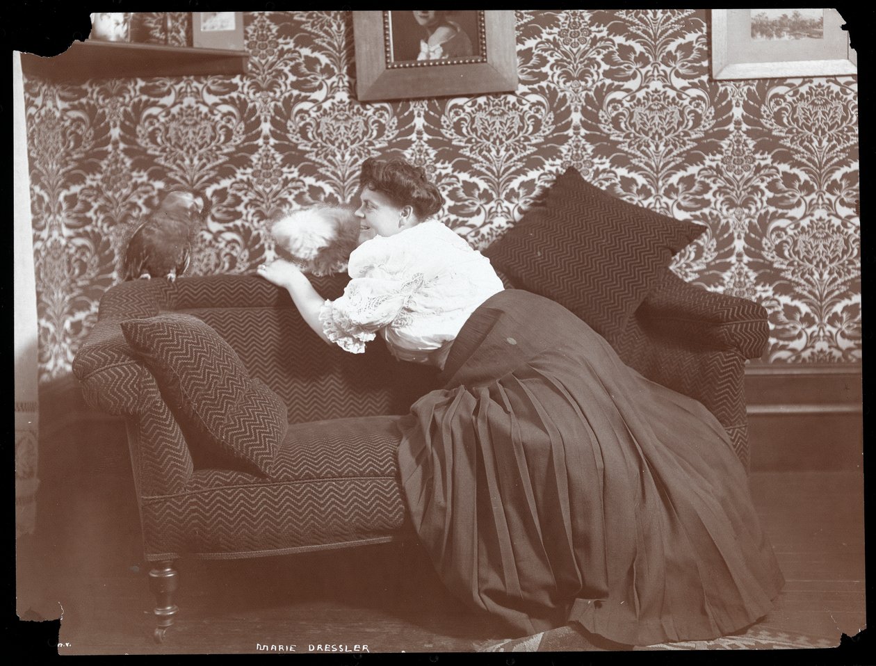Marie Dressler at Home with Dog and Parrot, 1905 by Byron Company