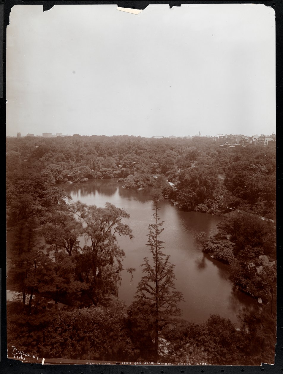 View of Central Park from the 4th Floor of the Plaza Hotel, 5th Avenue and 59th Street, 1907 by Byron Company