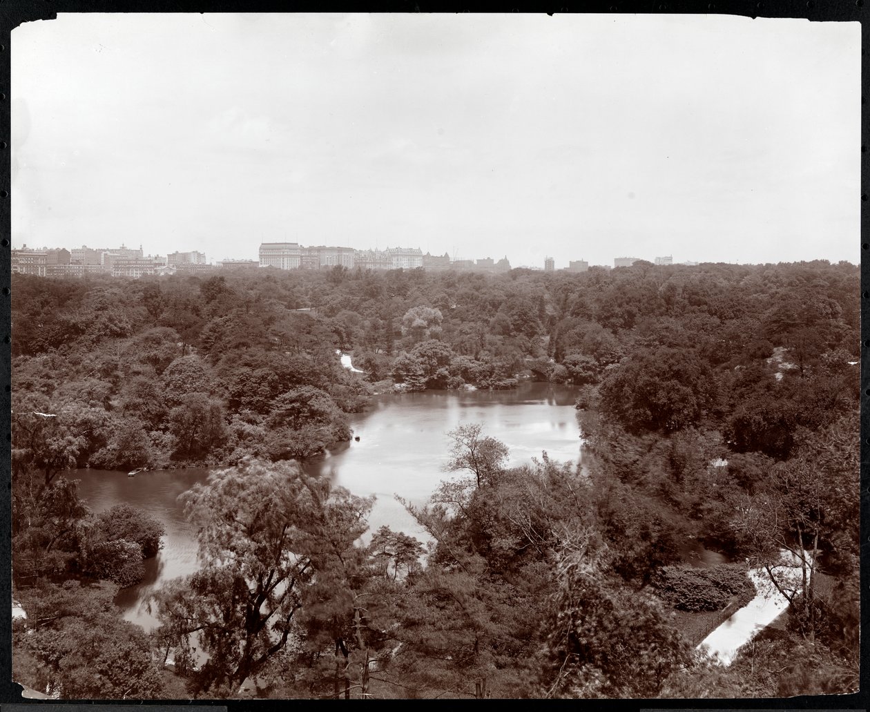 View of Central Park from the Plaza Hotel, 5th Avenue and 59th Street, New York by Byron Company