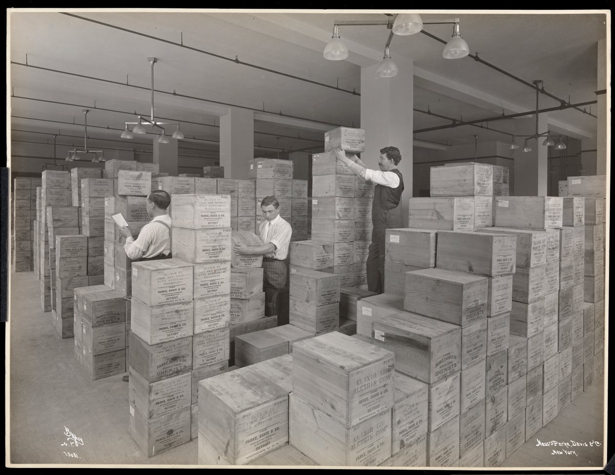 View of Men in the Shipping Room at Parke, Davis and Co., Chemists, Hudson and Vestry Streets, New York by Byron Company