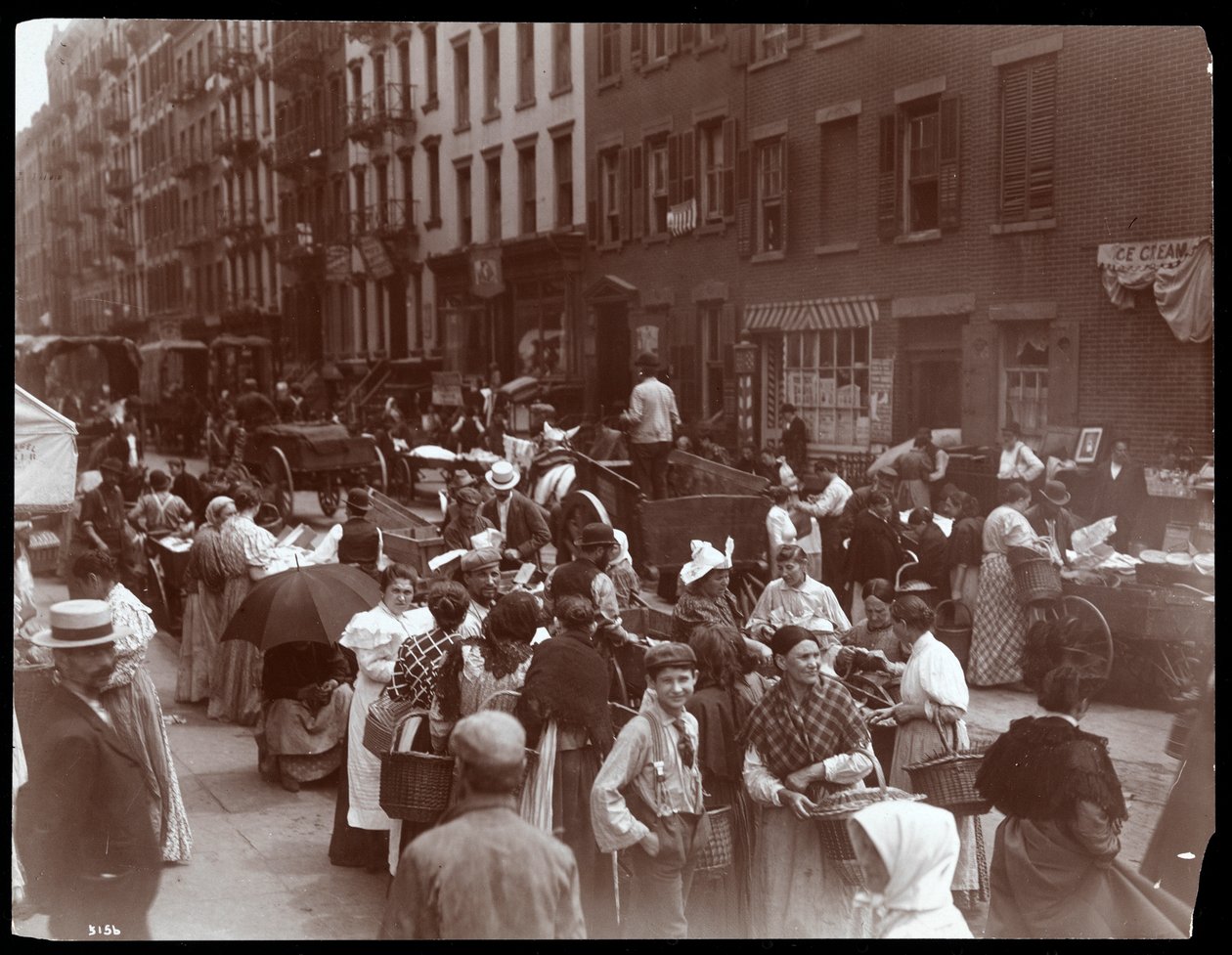 View of the Crowd and Peddlers on Hester Street, New York, 1899 by Byron Company