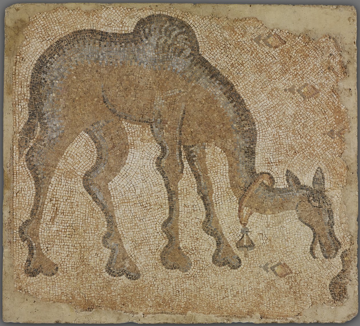 Mosaic Fragment with Grazing Camel by Byzantine