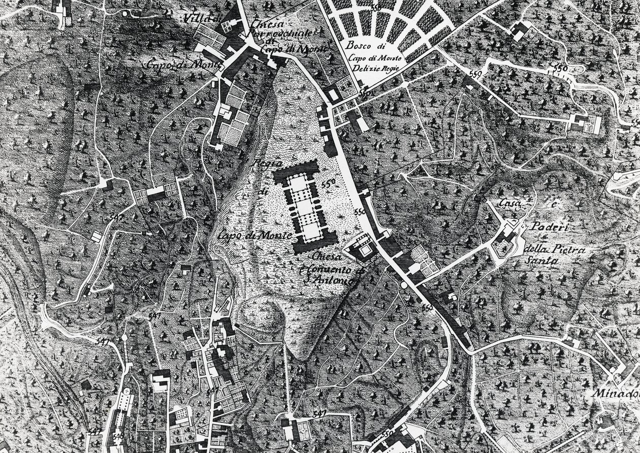 Neapolitan Nation In Pictures 1800 A Plan Of The City Of Naples