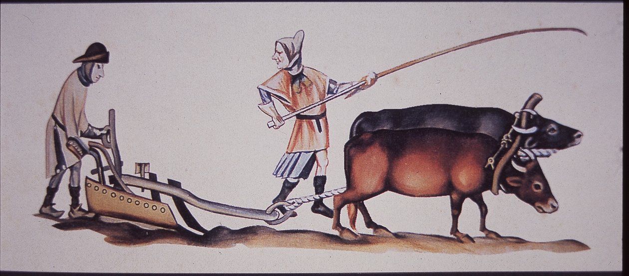 Medieval Men Ploughing with Oxen, from a Scene from the Luttrell Psalter by J.B. and Brown J. Rowbotham