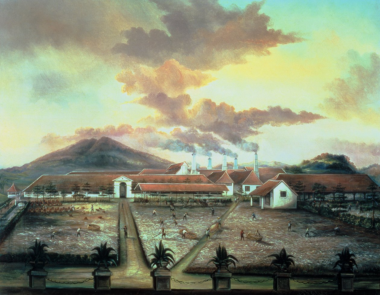 A Sugar Plantation in the South of Trinidad, c.1850 by C. Bauer