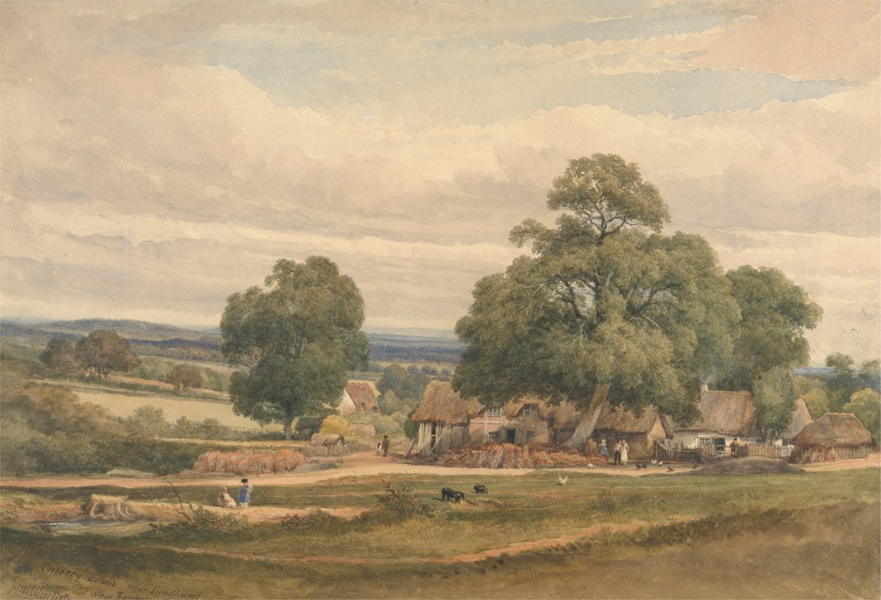 Emerey Down near Lyndhurst, New Forest, Hants by C. John M. Whichelo