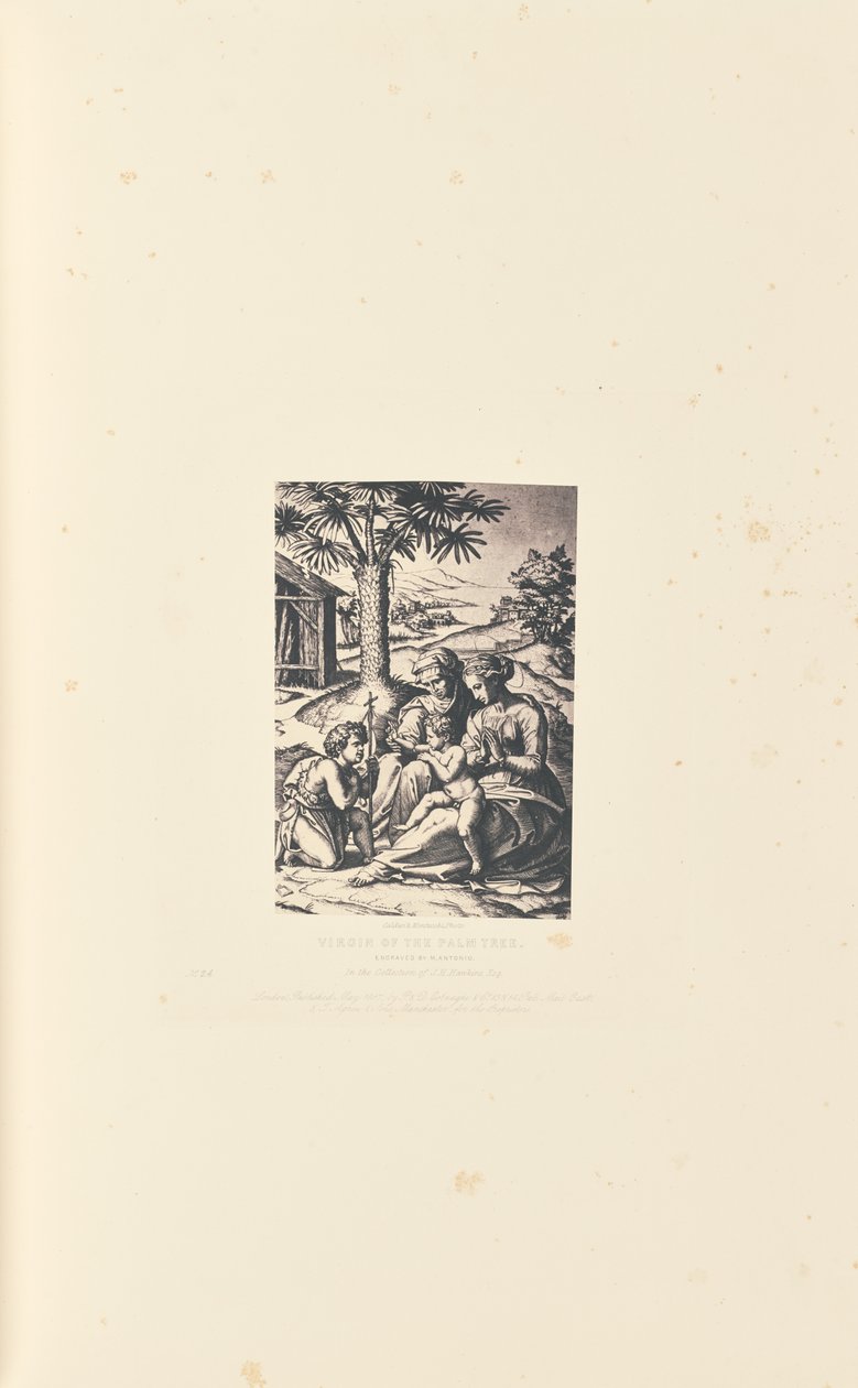 Virgin of the Palm Tree, Engraved by M. Antonio by Caldesi and Montecchi