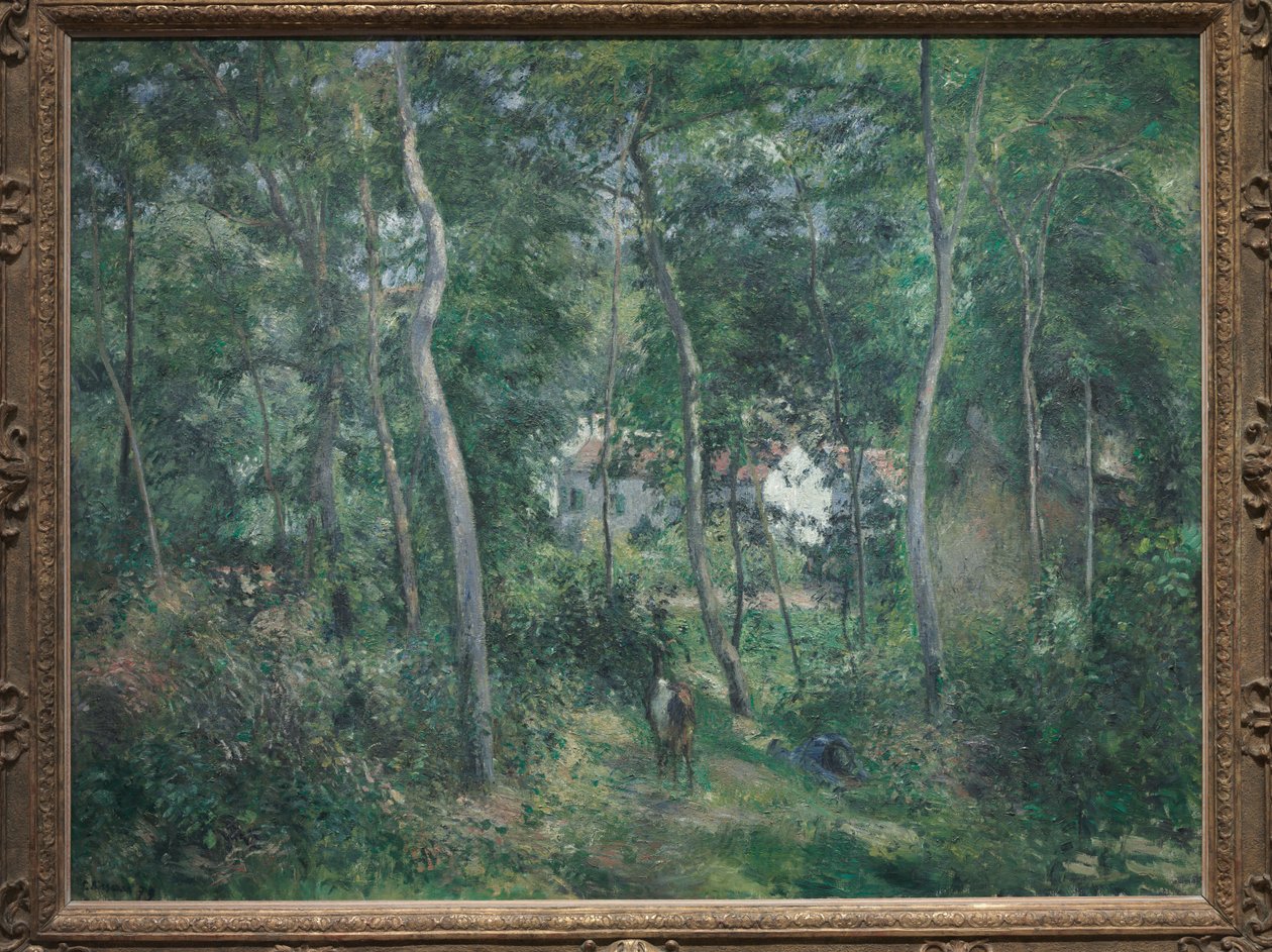 Edge of the Woods Near L