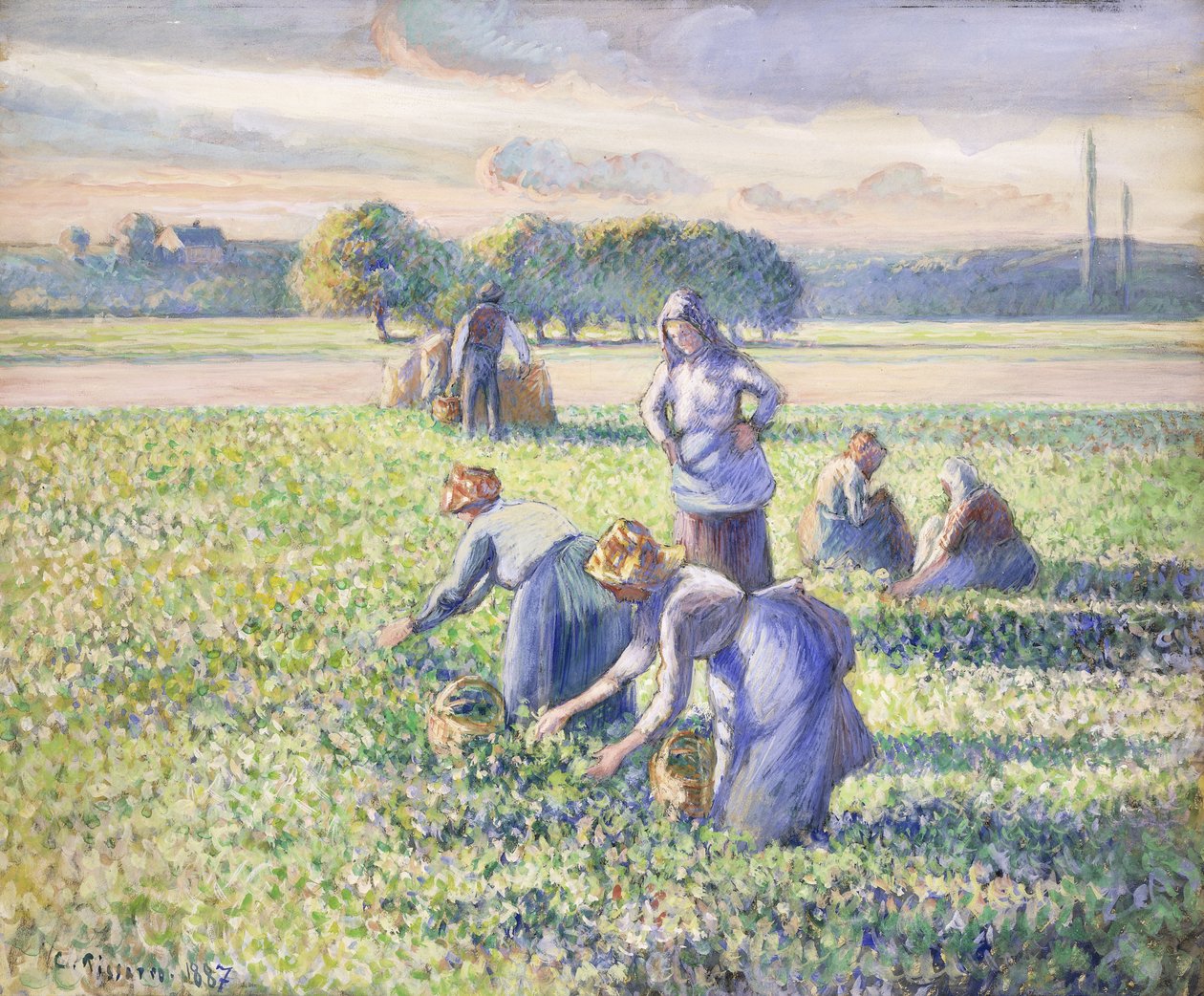 The Harvest of Peas by Camille Jacob Pissarro