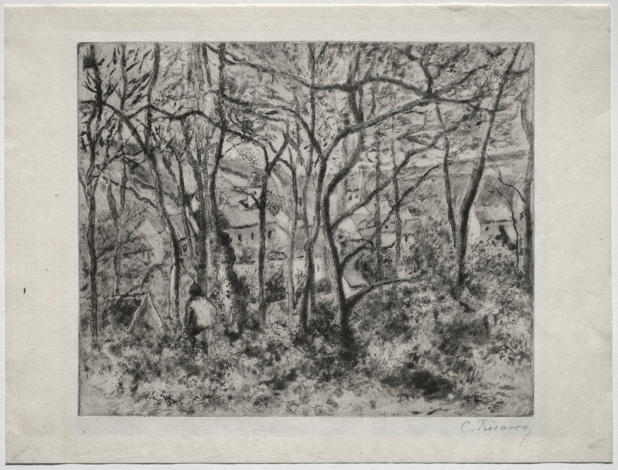 Wooded Landscape at L