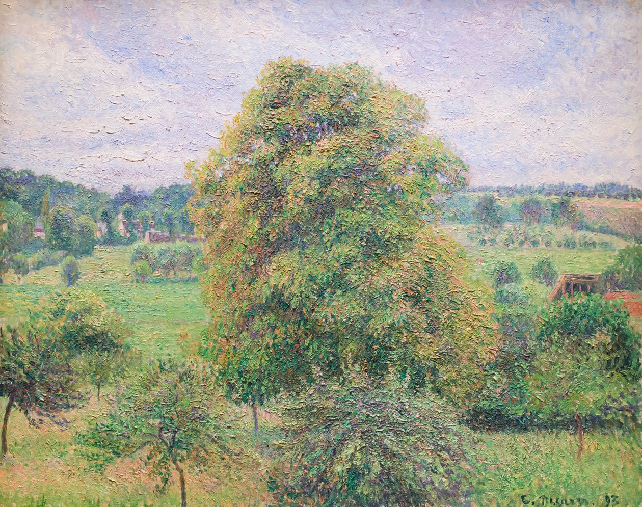 Big Walnut Tree at Eragny by Camille Pissarro