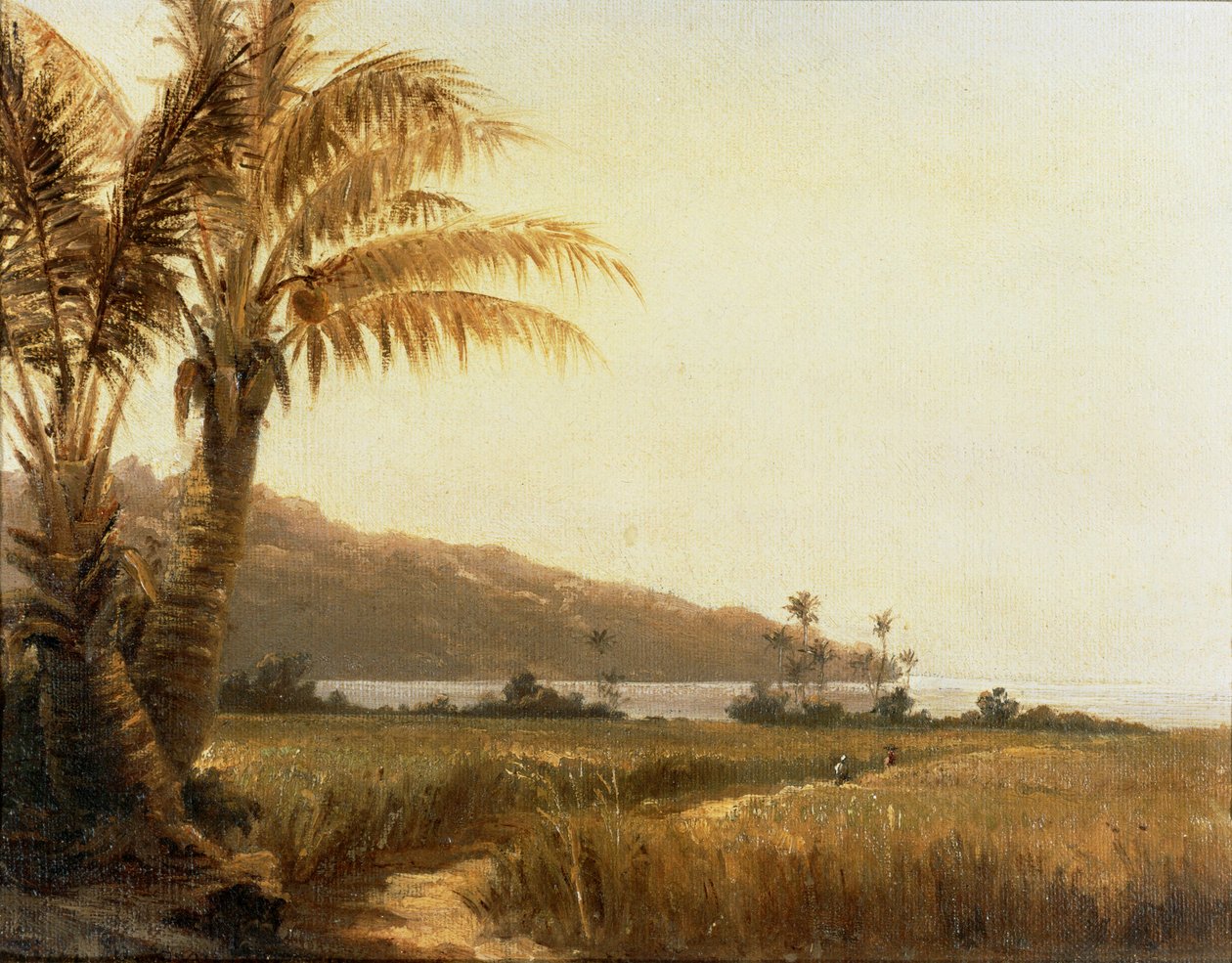 Coconut palms by the sea, Saint Thomas, Antilles by Camille Pissarro