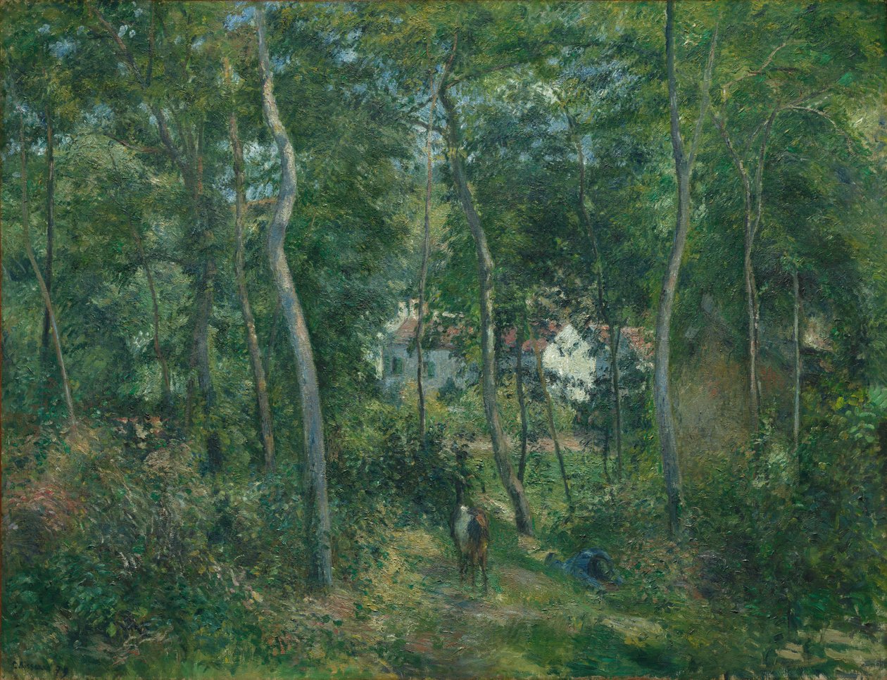 Edge of the Woods Near L