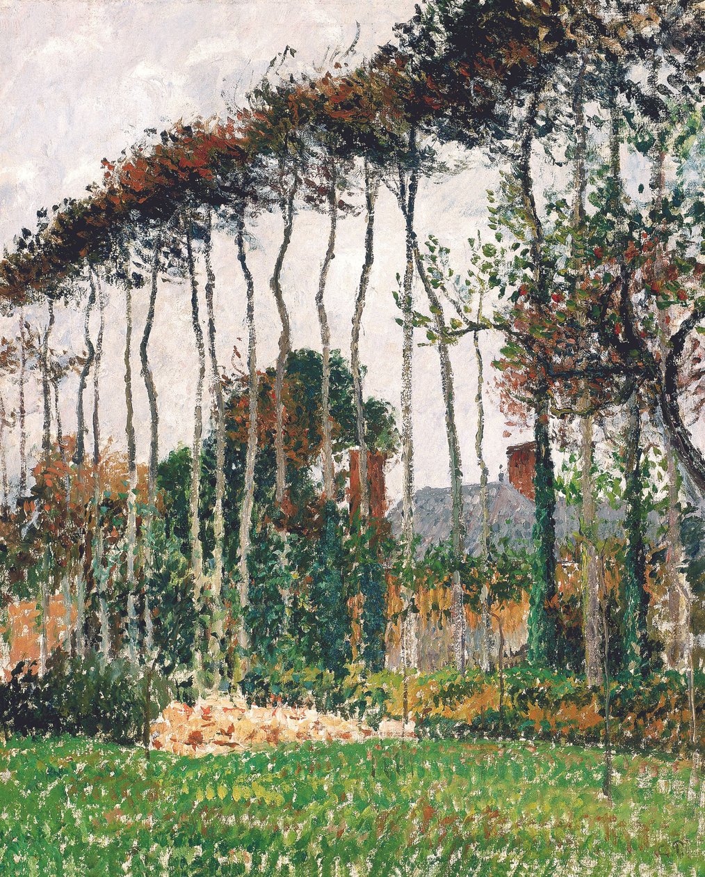 The Great Beeches at Varengeville by Camille Pissarro