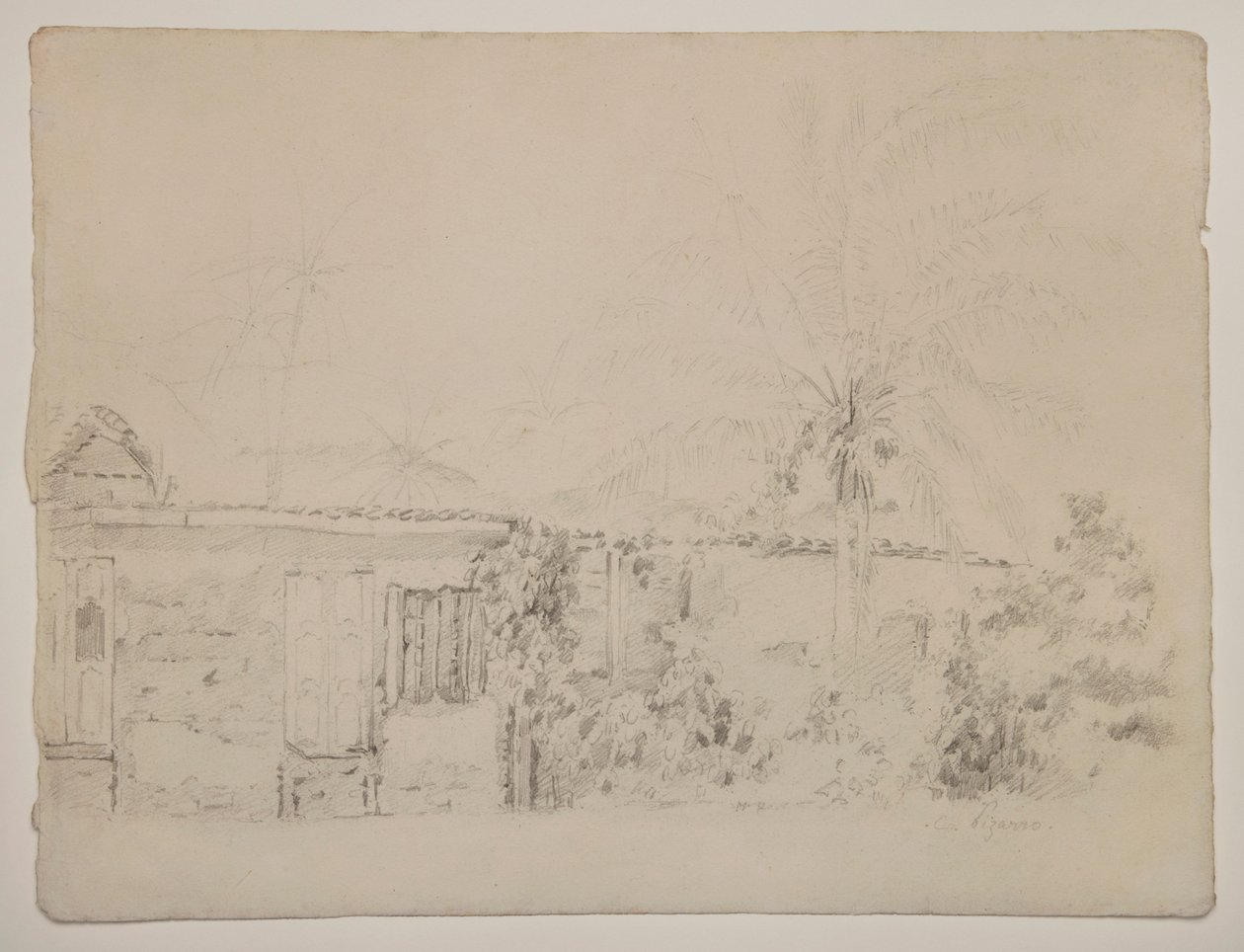 Houses and Palm Trees by Camille Pissarro