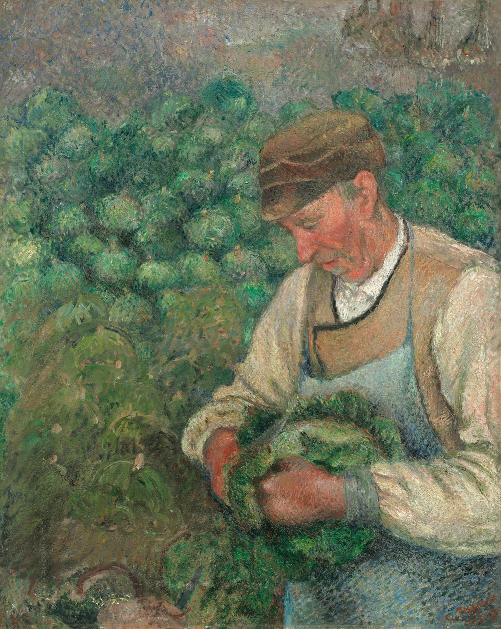 The Gardener - Old Peasant with Cabbage, 1883-1895 by Camille Pissarro