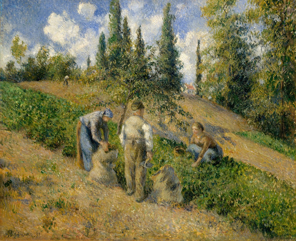 The Harvest, Pontoise by Camille Jacob Pissarro