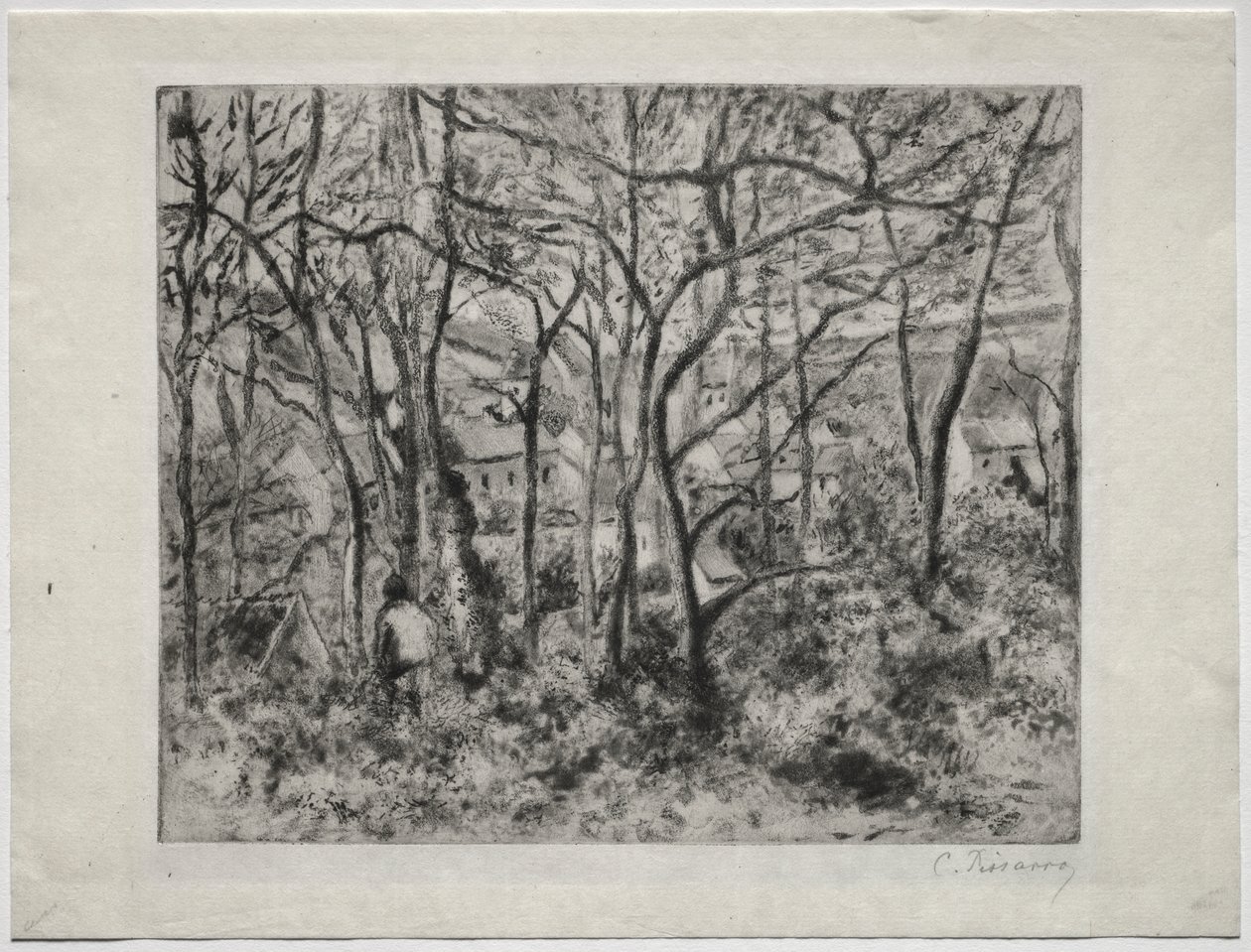 Wooded Landscape at L
