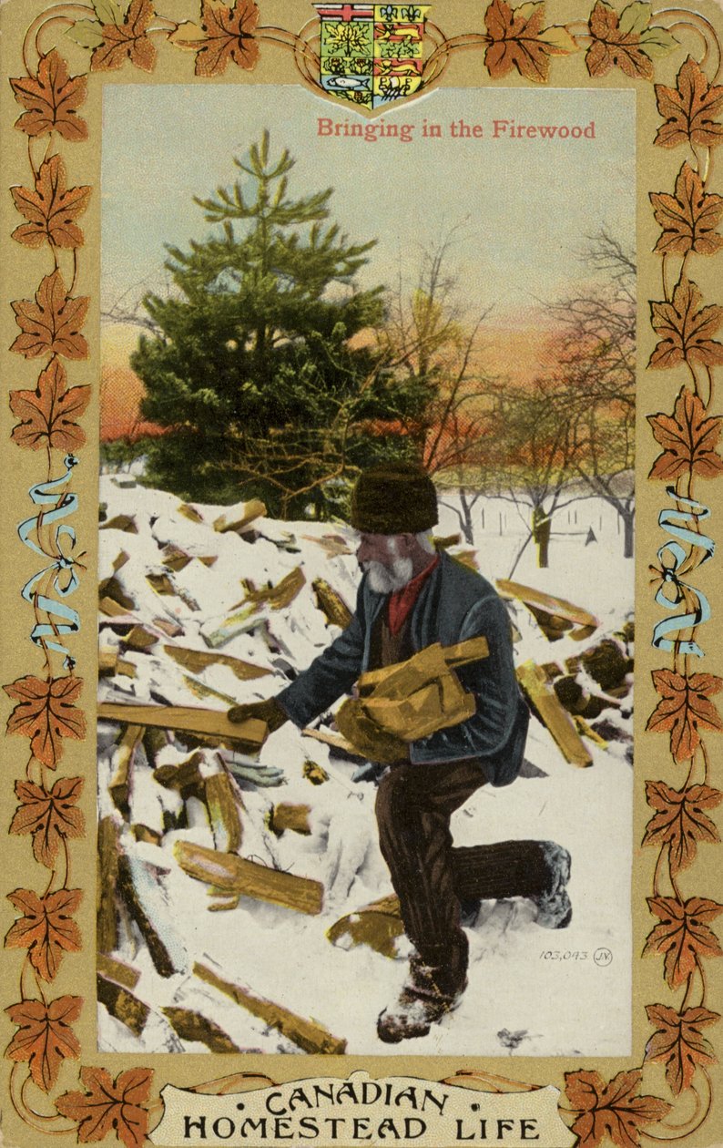 Canadian Homestead Life - Bringing in the Firewood by Canadian Photographer