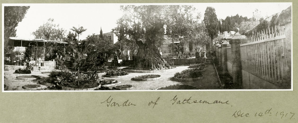 Garden of Gethsemane, 14th December 1917 by Capt. Arthur Rhodes