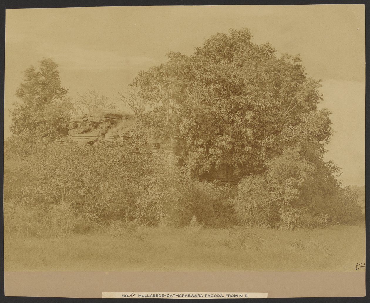 Hullabede - Catharaswama Pagoda from Northeast by Capt. Linnaeus Tripe