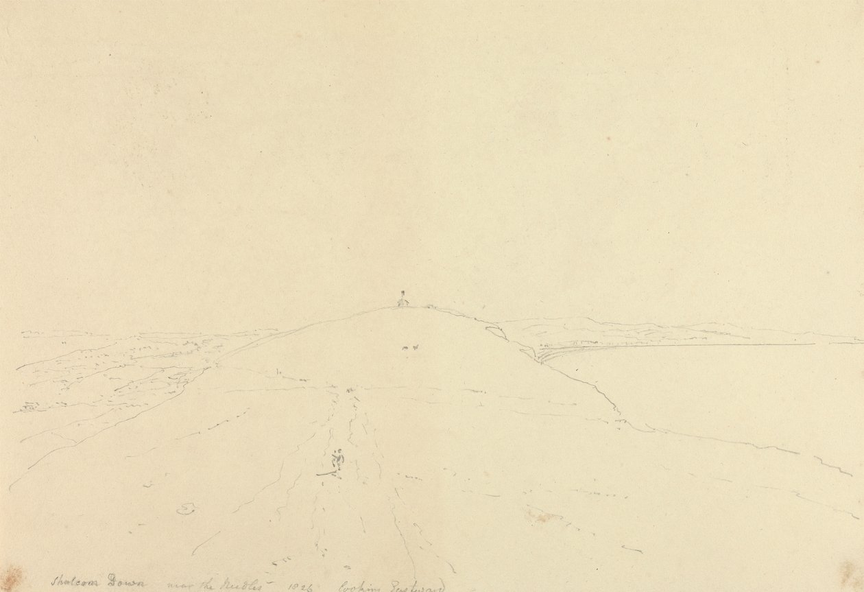 Shalcombe Down near the Needles, Looking Eastward by Capt. Thomas Hastings