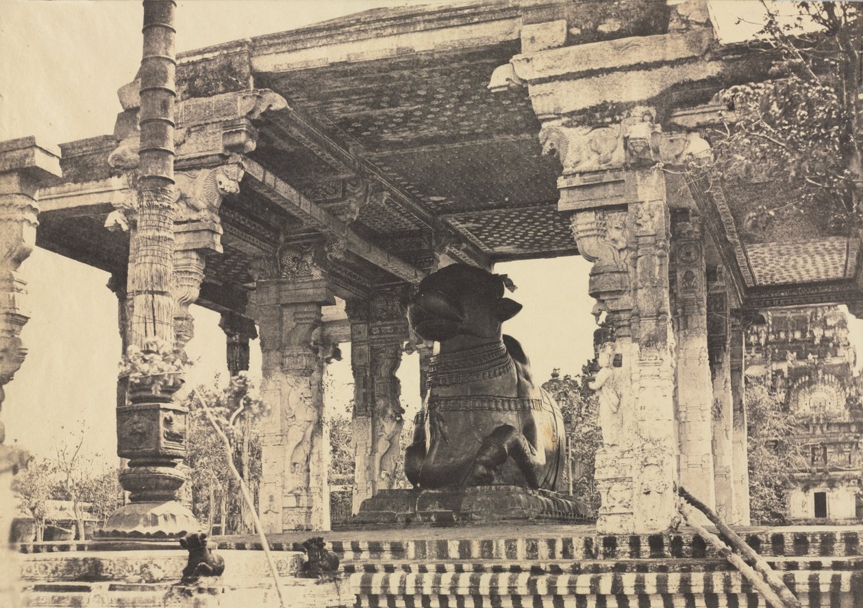Great Pagoda, Great Bull, Front View, Tanjore, India (Rajarajesvara Temple) by Captain Linnaeus Tripe