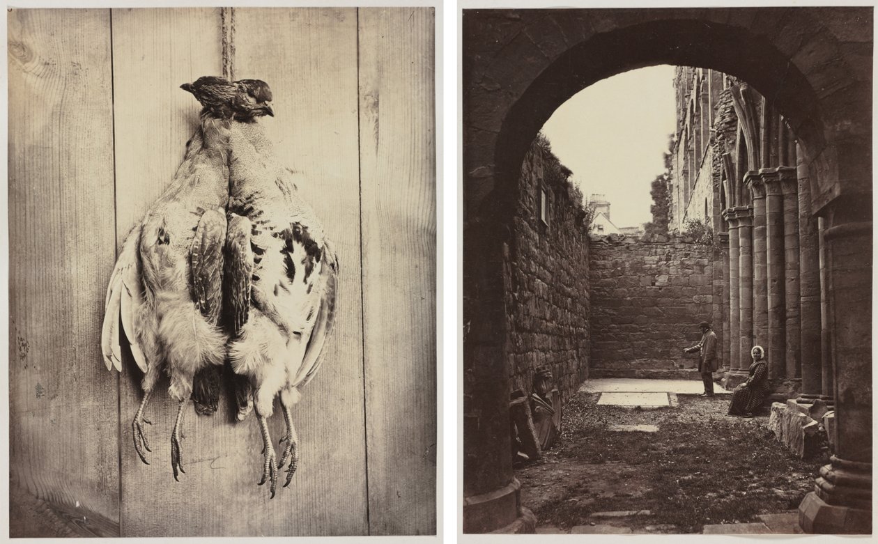 Partridges (recto); L.D. Campbell