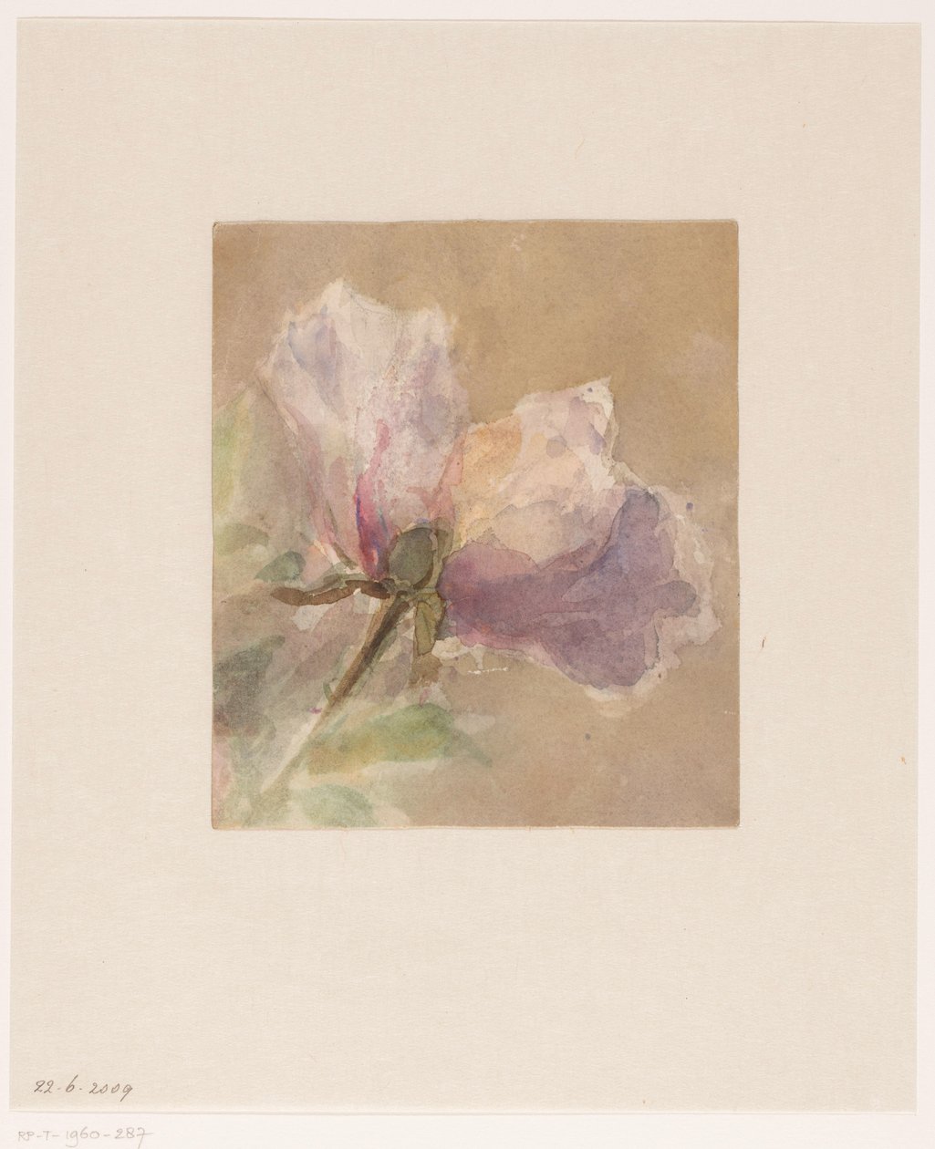 Withered Rose by Carel Nicolaas Storm van 