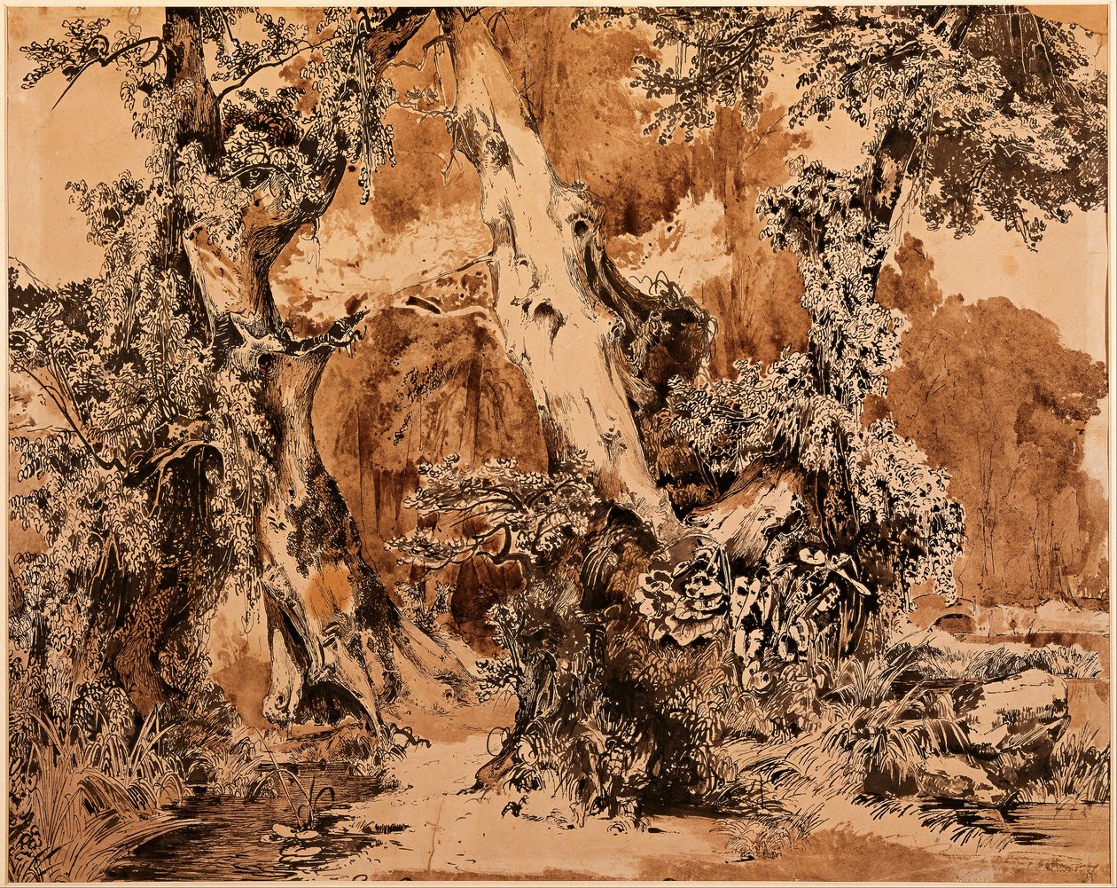 Weathered Tree Trunks in a Park by Carl Blechen