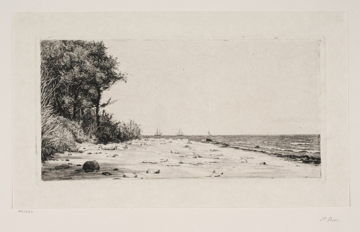 From the North Coast of Zealand. Hornbæk Plantation by Carl Bloch