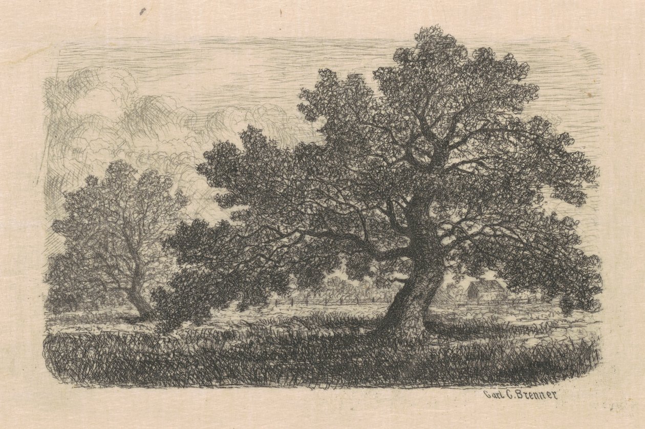 Apple Trees by Carl C. Brenner